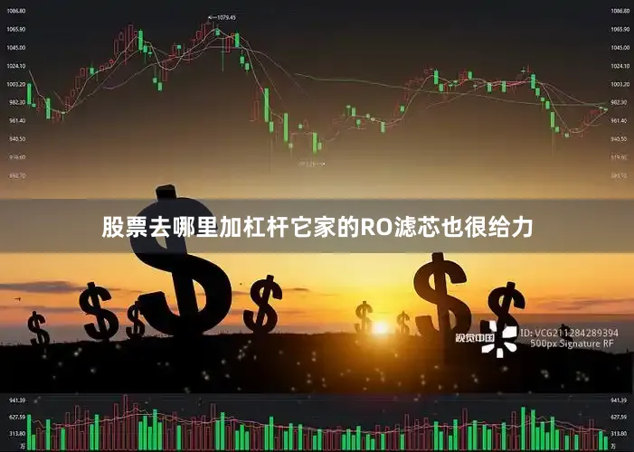 股票去哪里加杠杆它家的RO滤芯也很给力
