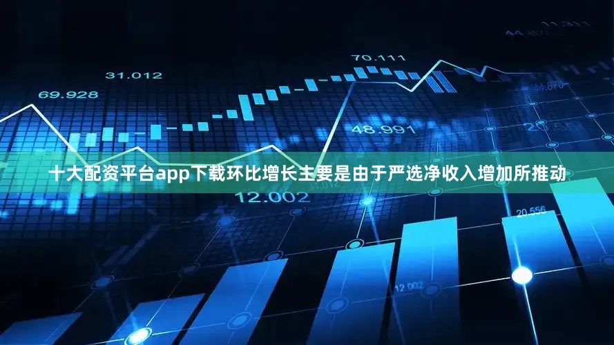 十大配资平台app下载环比增长主要是由于严选净收入增加所推动