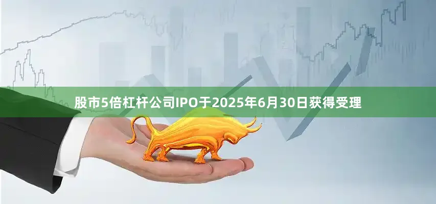 股市5倍杠杆公司IPO于2025年6月30日获得受理